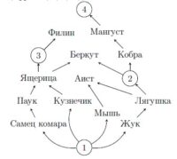 Биология вопрос 26